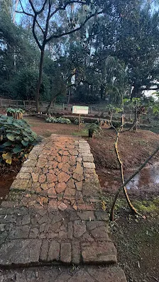 Foto 5 de Parque Ecológico Chico Mendes
