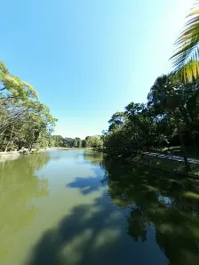 Foto 5 de Horto florestal