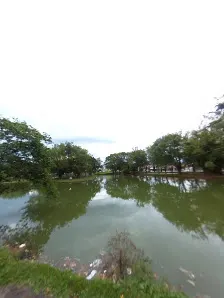 Foto 5 de Parque Lagoa dos Pássaros