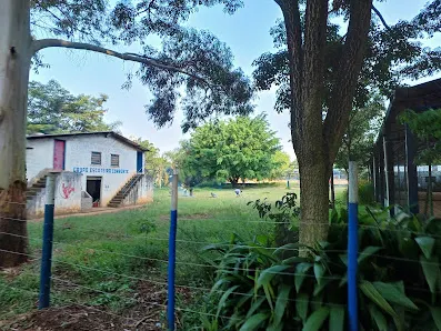 Foto 7 de Parque Ecológico Profª Lydia Natalizio Diogo - Vila Prudente