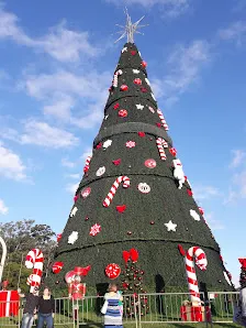 Foto 6 de Oca - Parque Ibirapuera