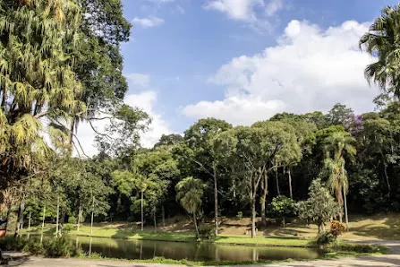 Foto 3 de Jardim Botânico de São Paulo