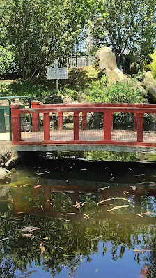 Foto 6 de Parque Ecológico Profª Lydia Natalizio Diogo - Vila Prudente