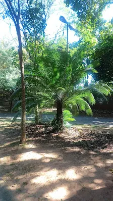 Foto 3 de Parque Estadual do Belém Manoel Pitta