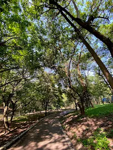 Foto 2 de Parque Ecológico Dionísio Alvarez Mateos