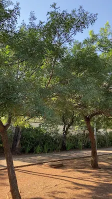 Foto 4 de Parque Benemérito José Brás