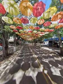 Foto 6 de Guarda-chuvas de Holambra