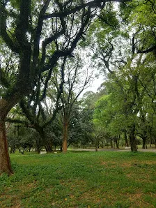 Foto 2 de Parque Ecológico - Ilha do Tamboré