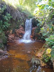 Foto 6 de Parque Estadual do Juquery