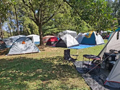 Foto 8 de Camping - Chapéu de Sol