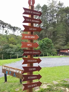 Foto 5 de Parque Estadual Campos do Jordão (Horto Florestal)