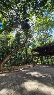 Foto 3 de Parque Prefeito Mário Covas