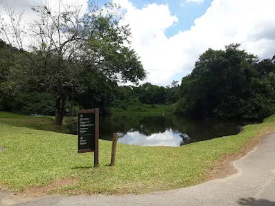Foto 6 de Parque Estadual Alberto Löfgren - Horto Florestal