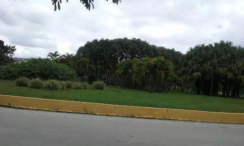Foto 5 de Parque Ecológico do Tiete