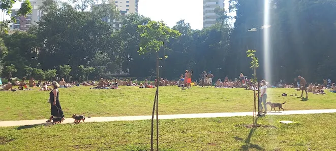 Foto 7 de Parque Augusta - Prefeito Bruno Covas