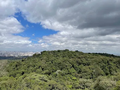 Foto 8 de Parque Estadual Cantareira - Núcleo Pedra Grande