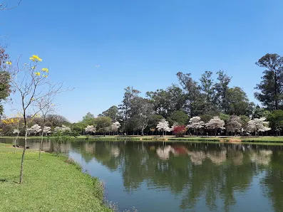 Foto 6 de Planetário do Ibirapuera Aristóteles Orsini
