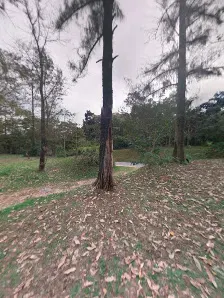 Foto 3 de Parque Ecológico - Ilha do Tamboré