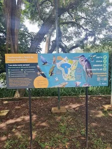 Foto 5 de Parque da Aclimação