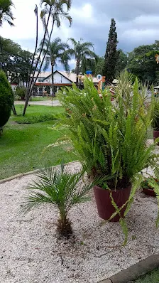 Foto 4 de Praça "Bento Euzébio Tobias - Bentão"
