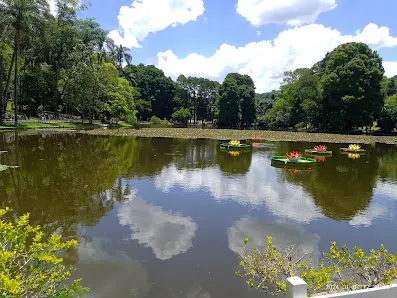 Foto 3 de Parque Estadual Alberto Löfgren - Horto Florestal