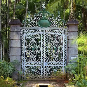 Foto 6 de Jardim Botânico de São Paulo