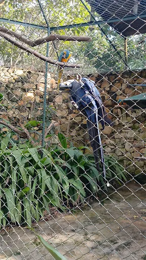 Foto 14 de Zoo São Paulo