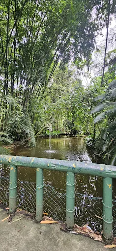 Foto 15 de Orquidário Municipal de Santos