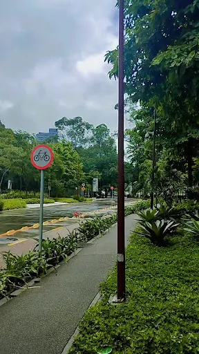 Foto 28 de Parque da Cidade - Torre Tarumã