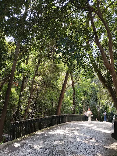 Foto 19 de Parque Tenente Siqueira Campos - Trianon