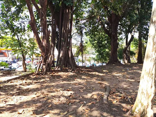 Foto 19 de Praça Província de Saitama