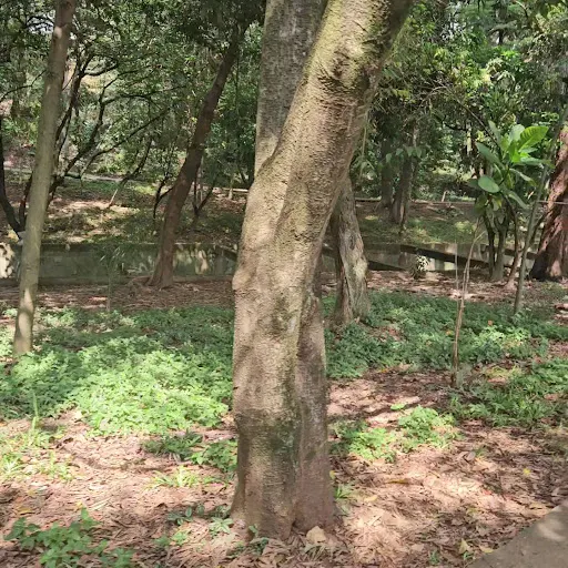 Foto 17 de Parque Linear Tiquatira - Eng. Werner Eugênio Zulauf
