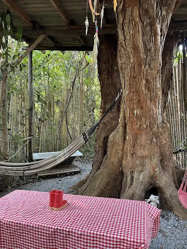 Foto 18 de Glamping da Represa