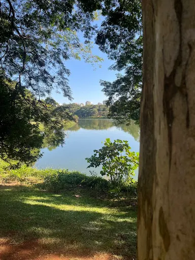 Foto 39 de Parque Ibirapuera