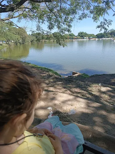 Foto 9 de Pedalinho do lago - Parque Ecológico