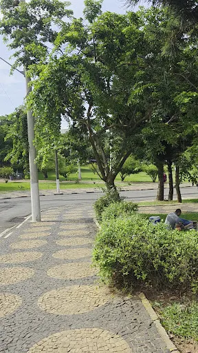 Foto 17 de Parque Zeca Malavazzi