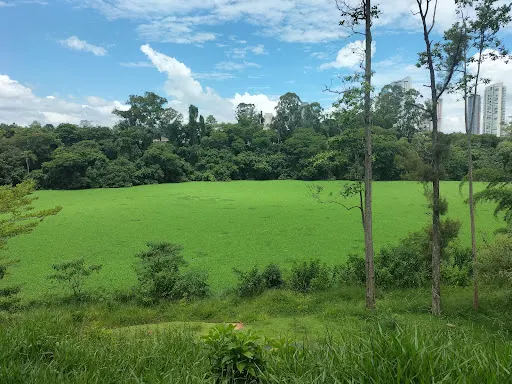 Foto 25 de Parque Tietê Ecológico Barueri
