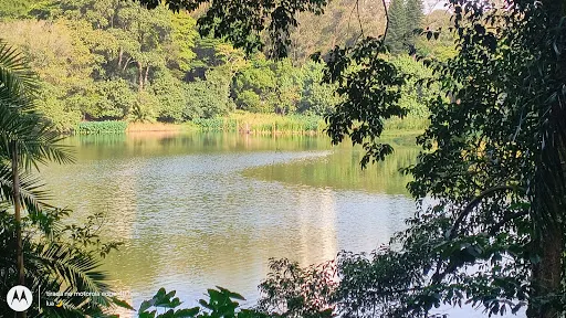 Foto 25 de Parque da Aclimação