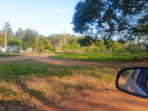Foto 36 de Horto Florestal Sumaré-SP