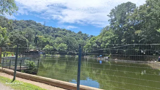 Foto 27 de Parque Estadual Cantareira - Núcleo Pedra Grande