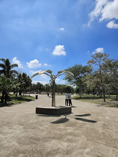 Foto 22 de Parque Estadual do Belém Manoel Pitta
