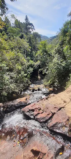 Foto 26 de Cachoeira do Palomar