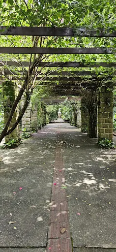 Foto 18 de Orquidário Municipal de Santos