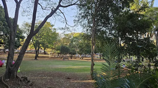 Foto 26 de Parque Zeca Malavazzi