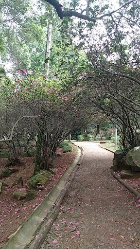 Foto 13 de Parque Takebe
