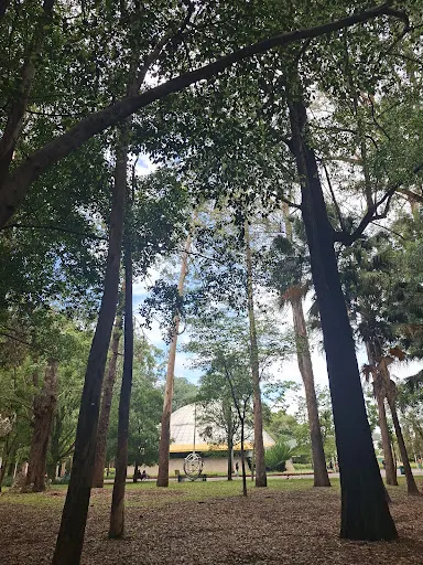 Foto 14 de Planetário do Ibirapuera Aristóteles Orsini