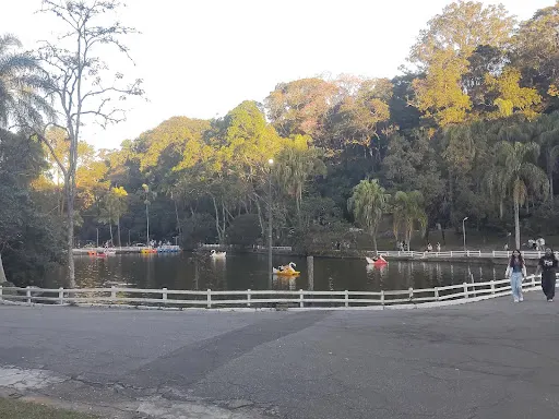Foto 18 de Parque Estadual Alberto Löfgren - Horto Florestal