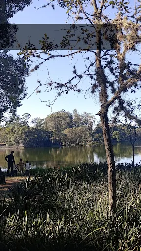 Foto 18 de Parque Ibirapuera