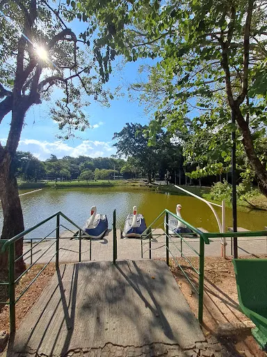 Foto 10 de Parque Zeca Malavazzi
