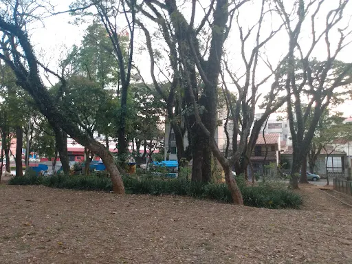 Foto 30 de Parque Domingos Luís